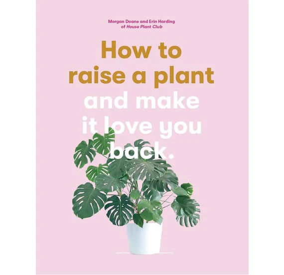 All Sorted How to Raise a Plant
