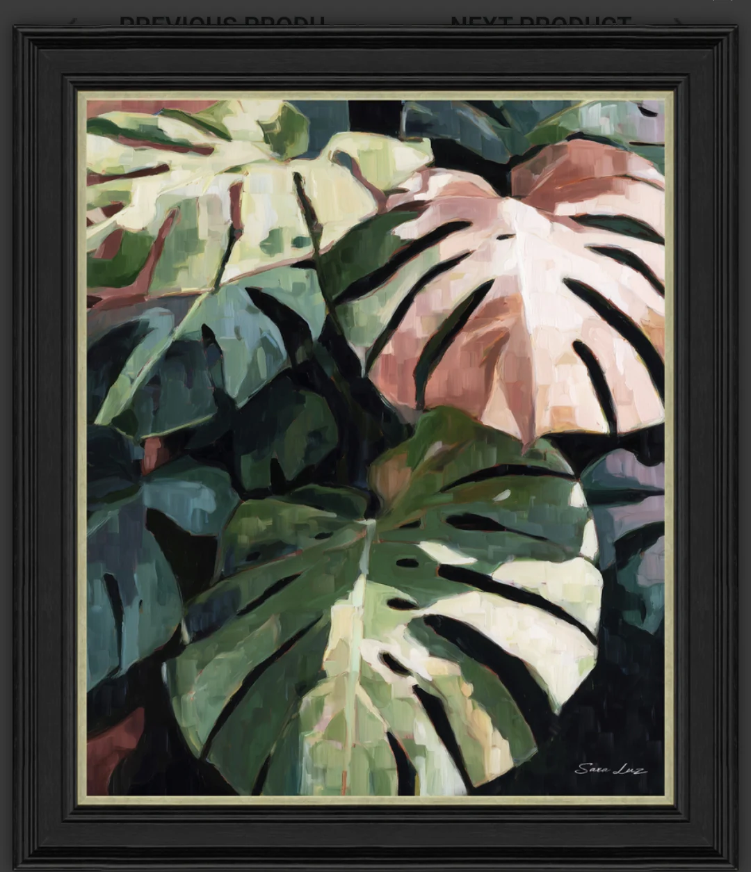 ART Monstera