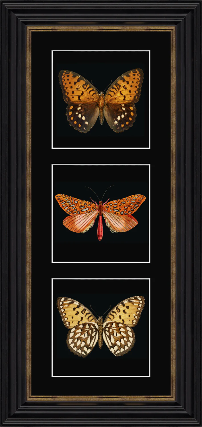 ART Orange Butterflies