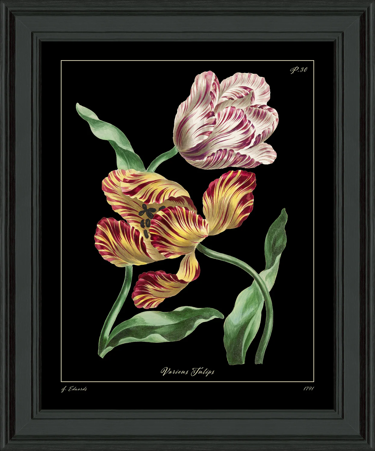 ART Tulips