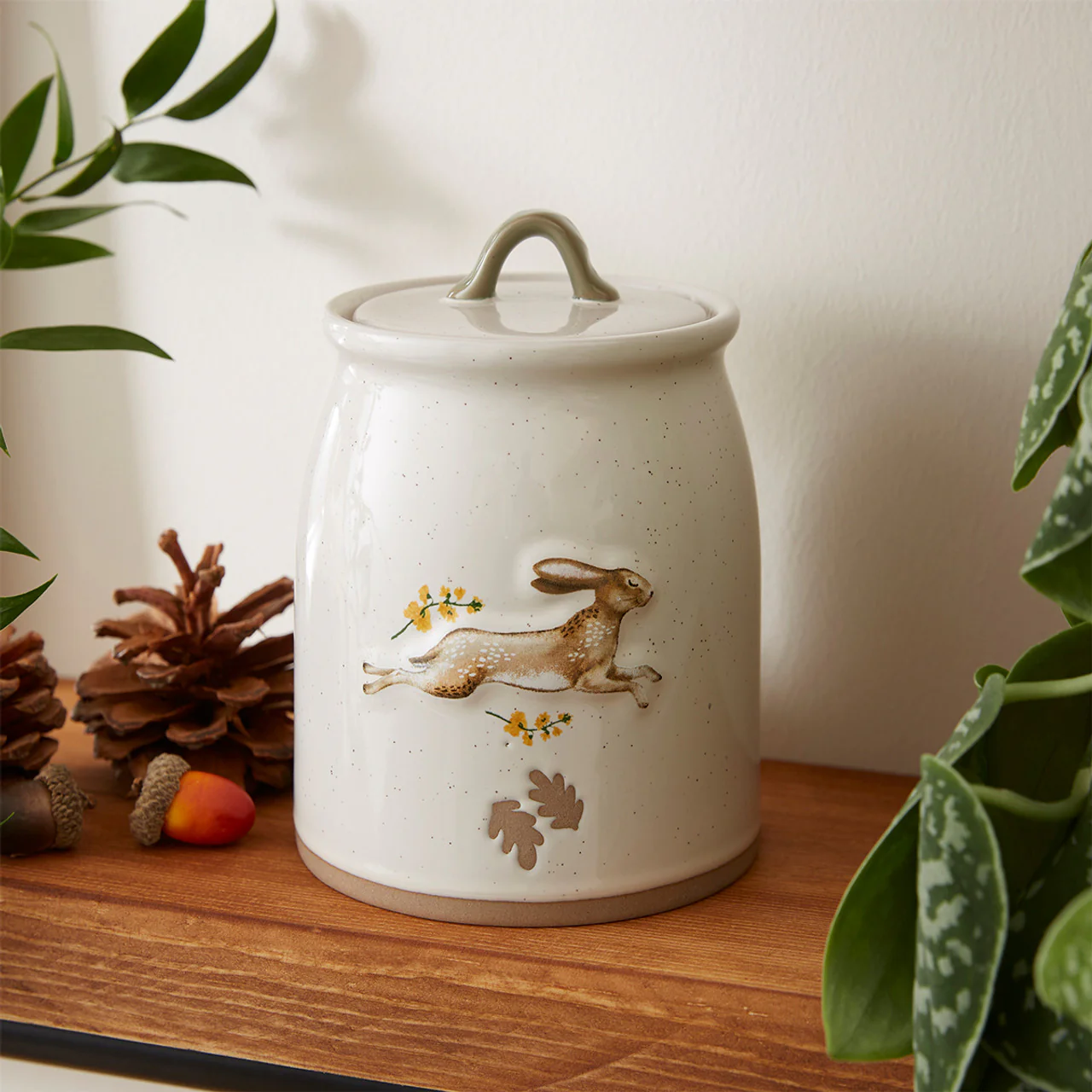Cooksmart Forest Fable - Ceramic Canister (Hare) - Image 3