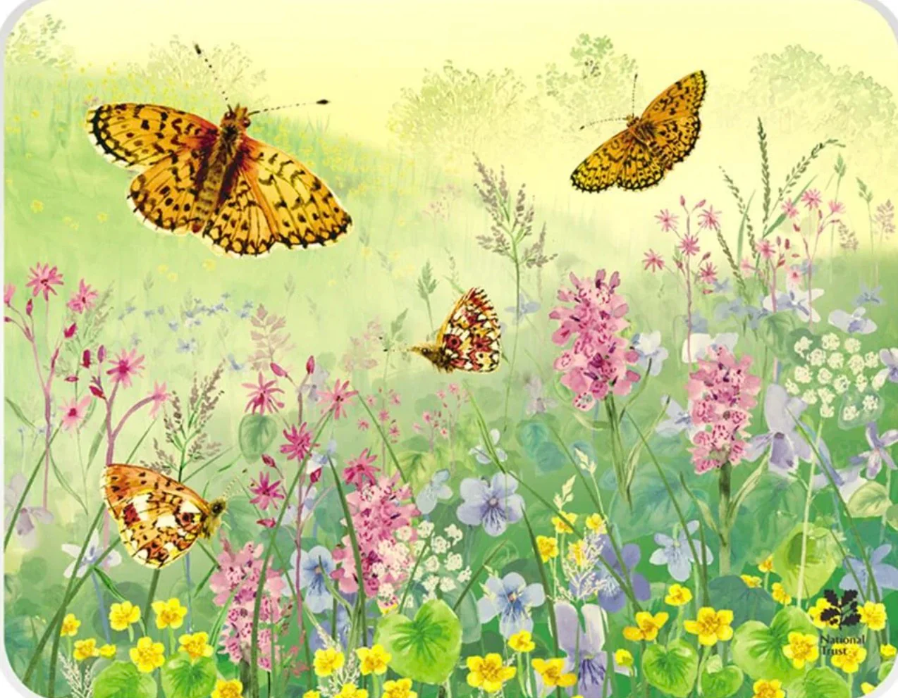 EDD National Trust Border Fritillary Butterfly Med WorkTop