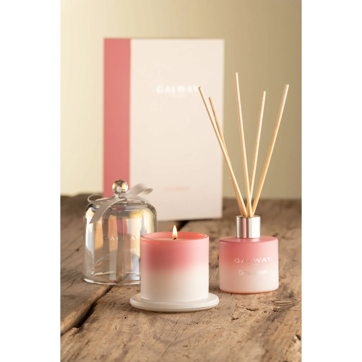 Galway Crystal Cactus Blossom Gift Set - Image 2