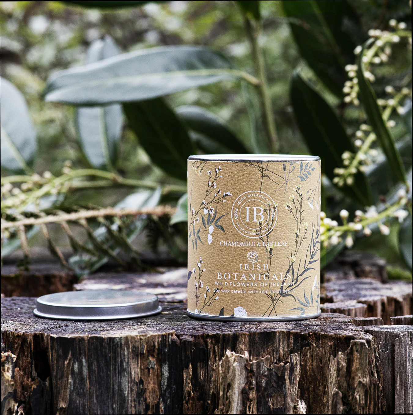 Irish Botanicals Wildflowers - Chamomile and Bay Leaf Candle Tin Candle - Image 2