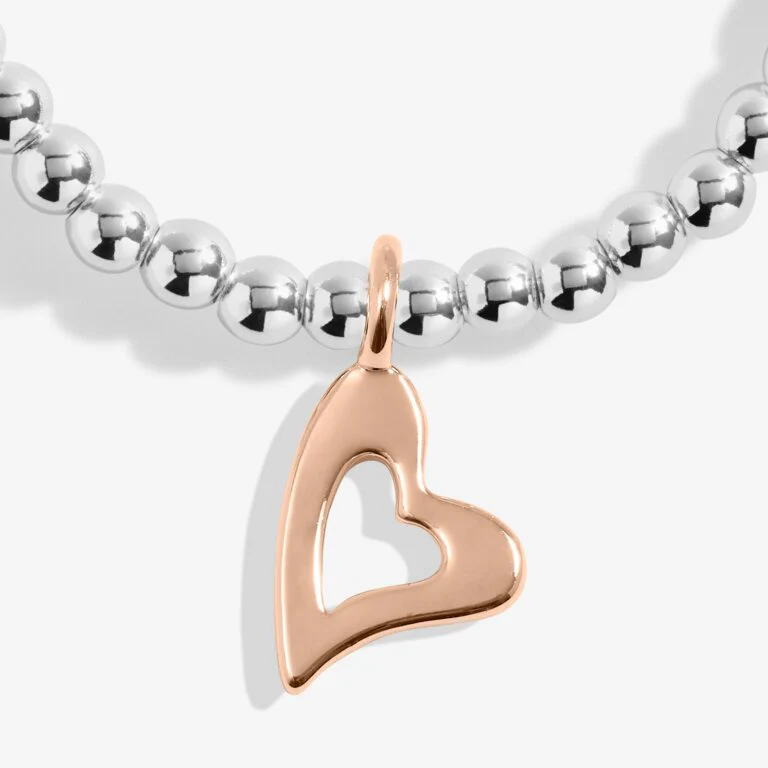 Joma A Little 'Lucky To Have A Friend Like You' Bracelet In Silver And Rose Gold Plating - Image 3