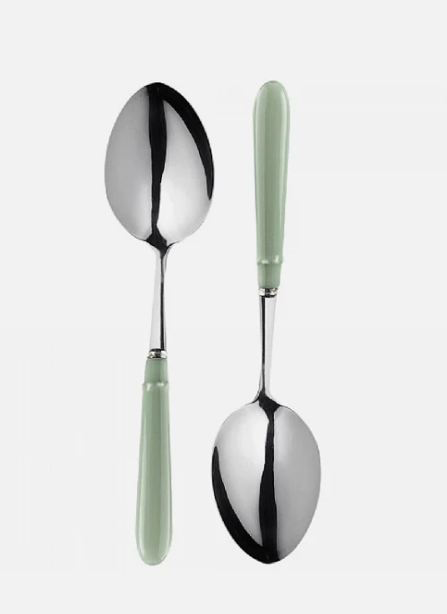 MARY BERRY SIGNATURE SET OF 2 SERVING SPOONS PISTA