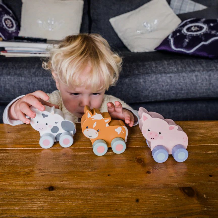 Orange Tree Toys Pig First Push Toy - Image 2