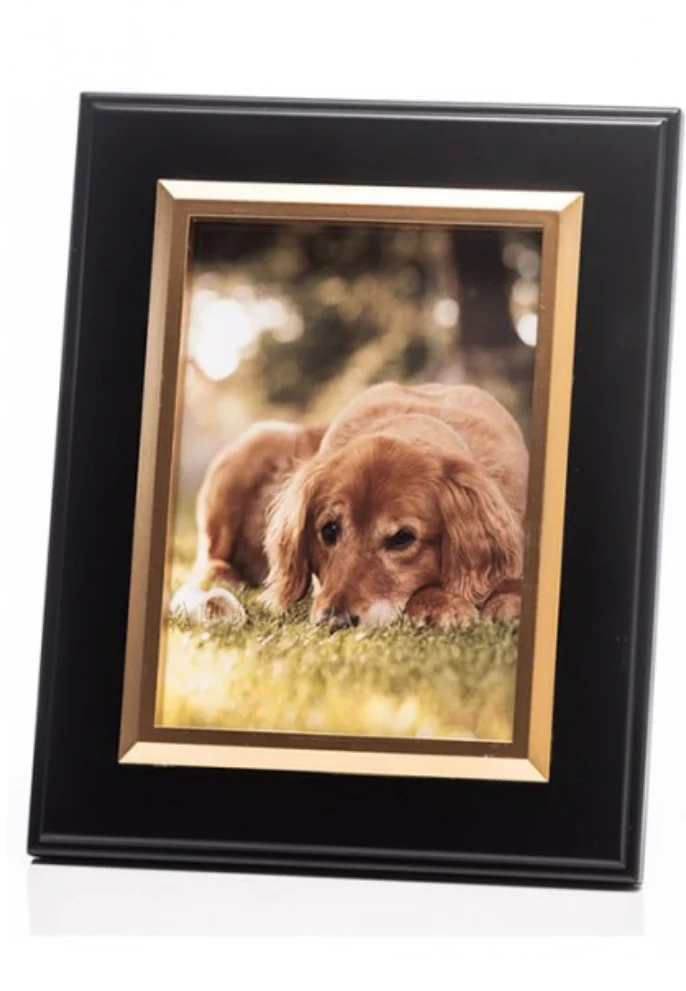The Grange Collection Black With Gold Inner Frame 5x7