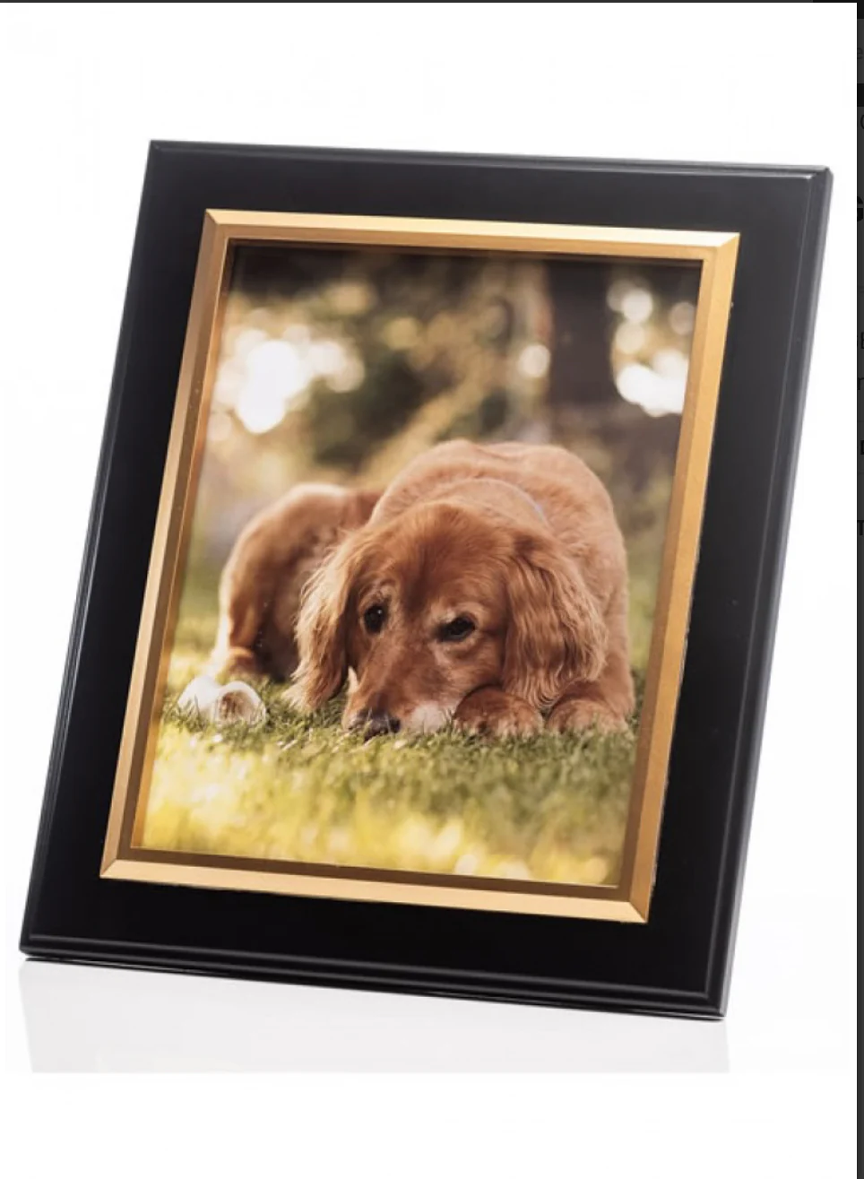 The Grange Collection Black With Gold Inner Frame 8x10