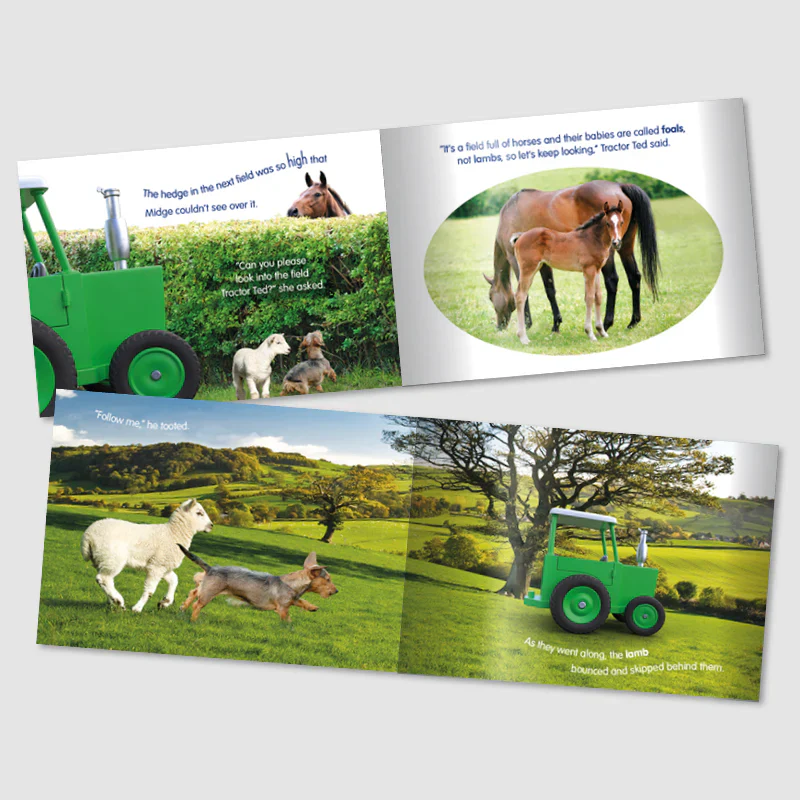 Tractor Ted Little Lost Lamb - Image 2